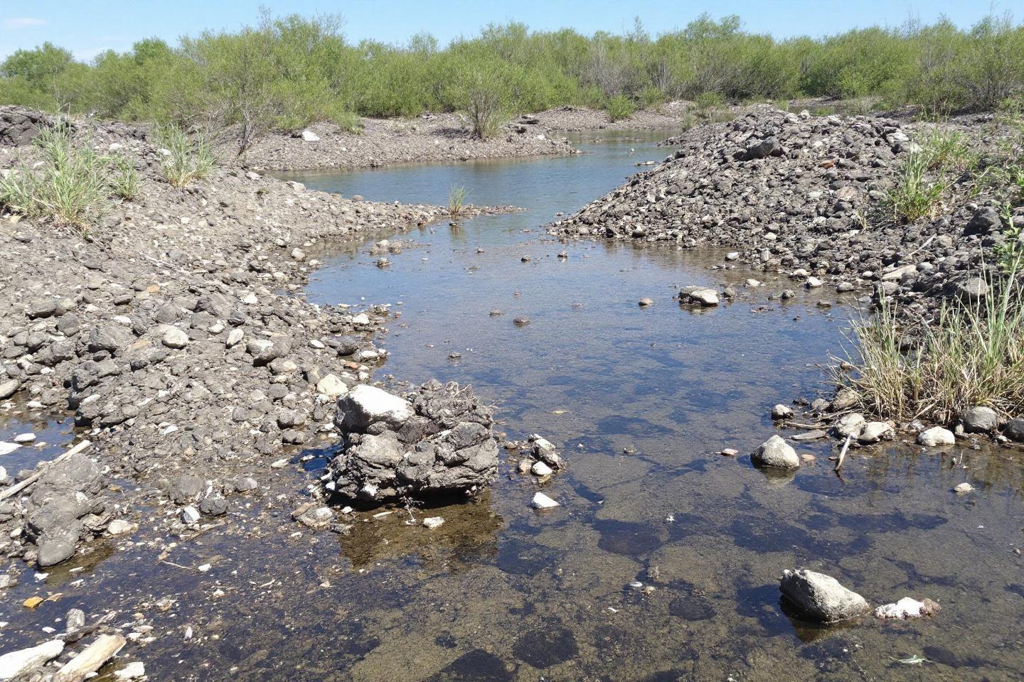 Cours d'eau peu profond avec des rochers et de la végétation