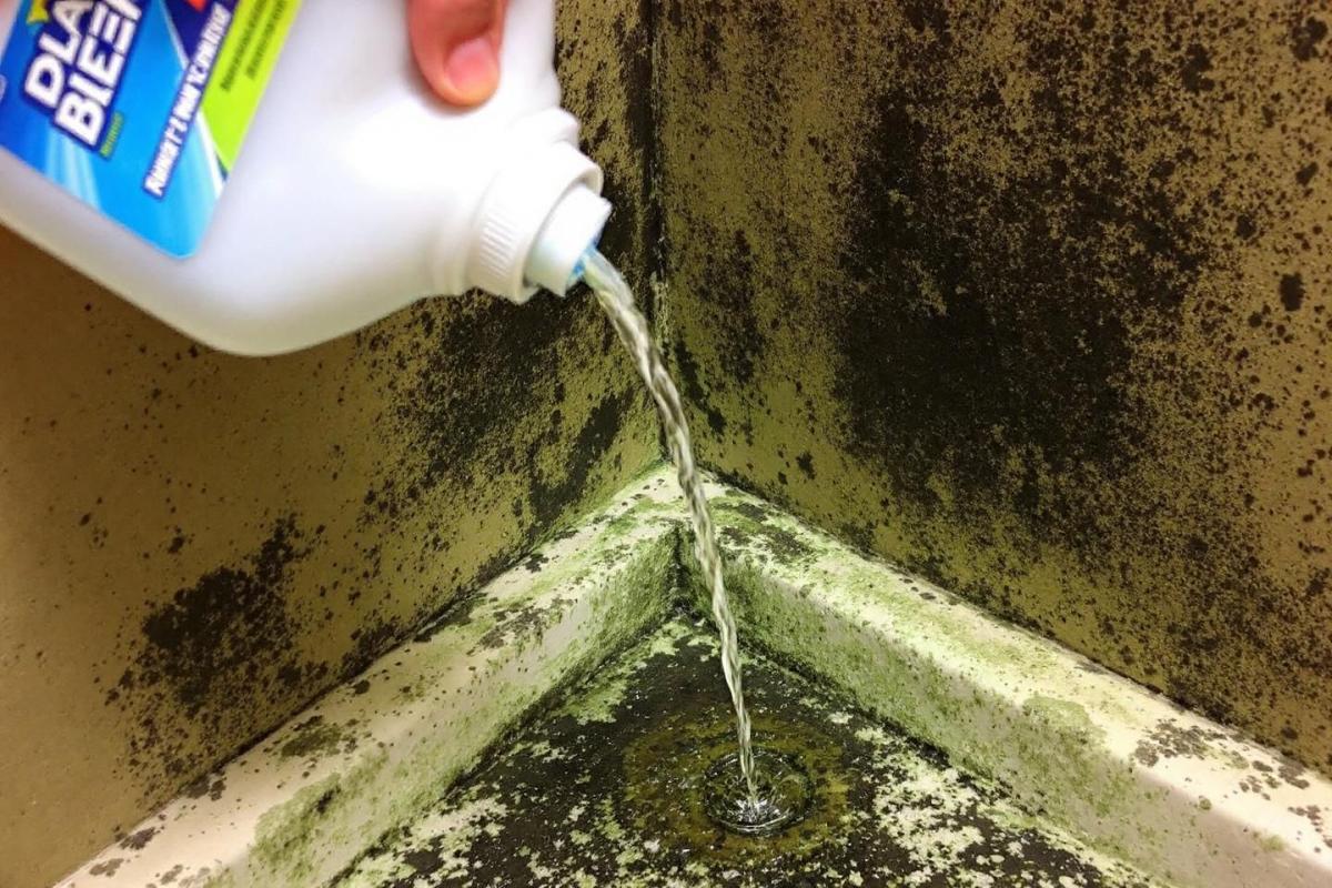 Attention, l'eau de javel ne tue pas les moisissures (voici pourquoi c'est dangereux)