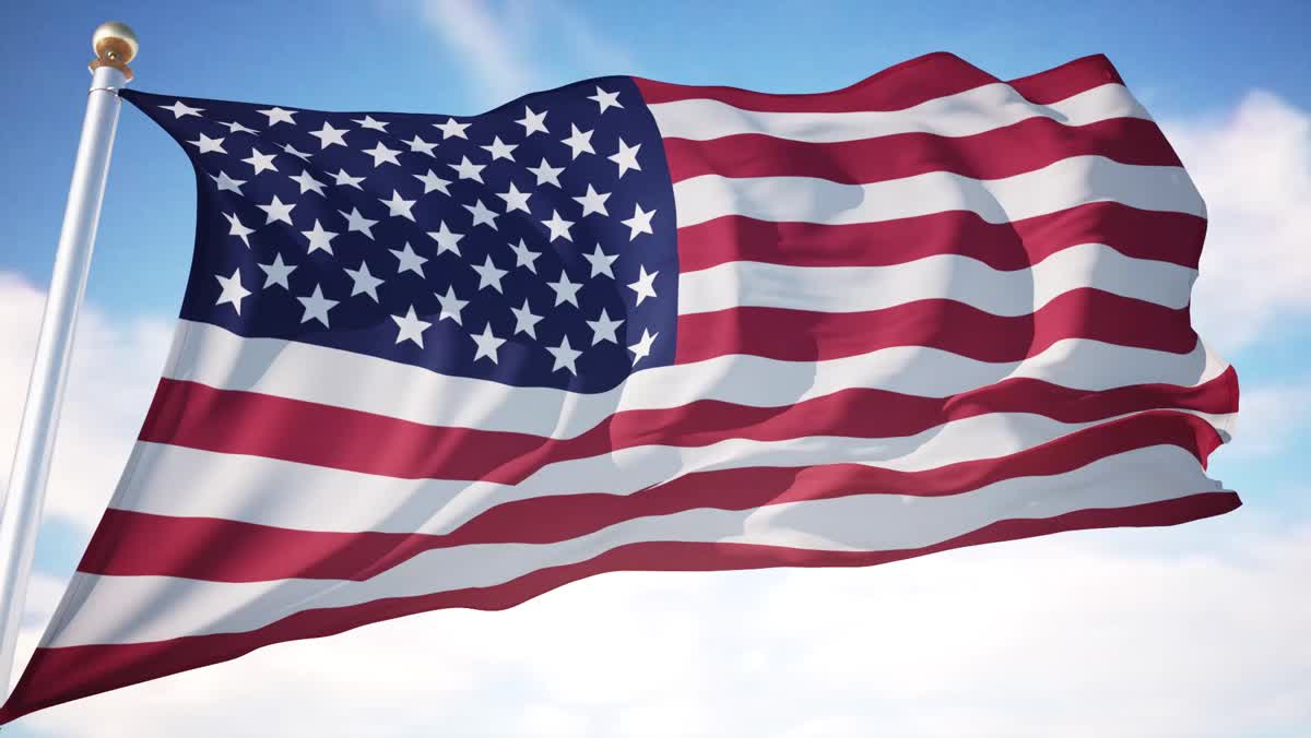 Campagne électorale aux USA : les NFT ont la place d'honneur