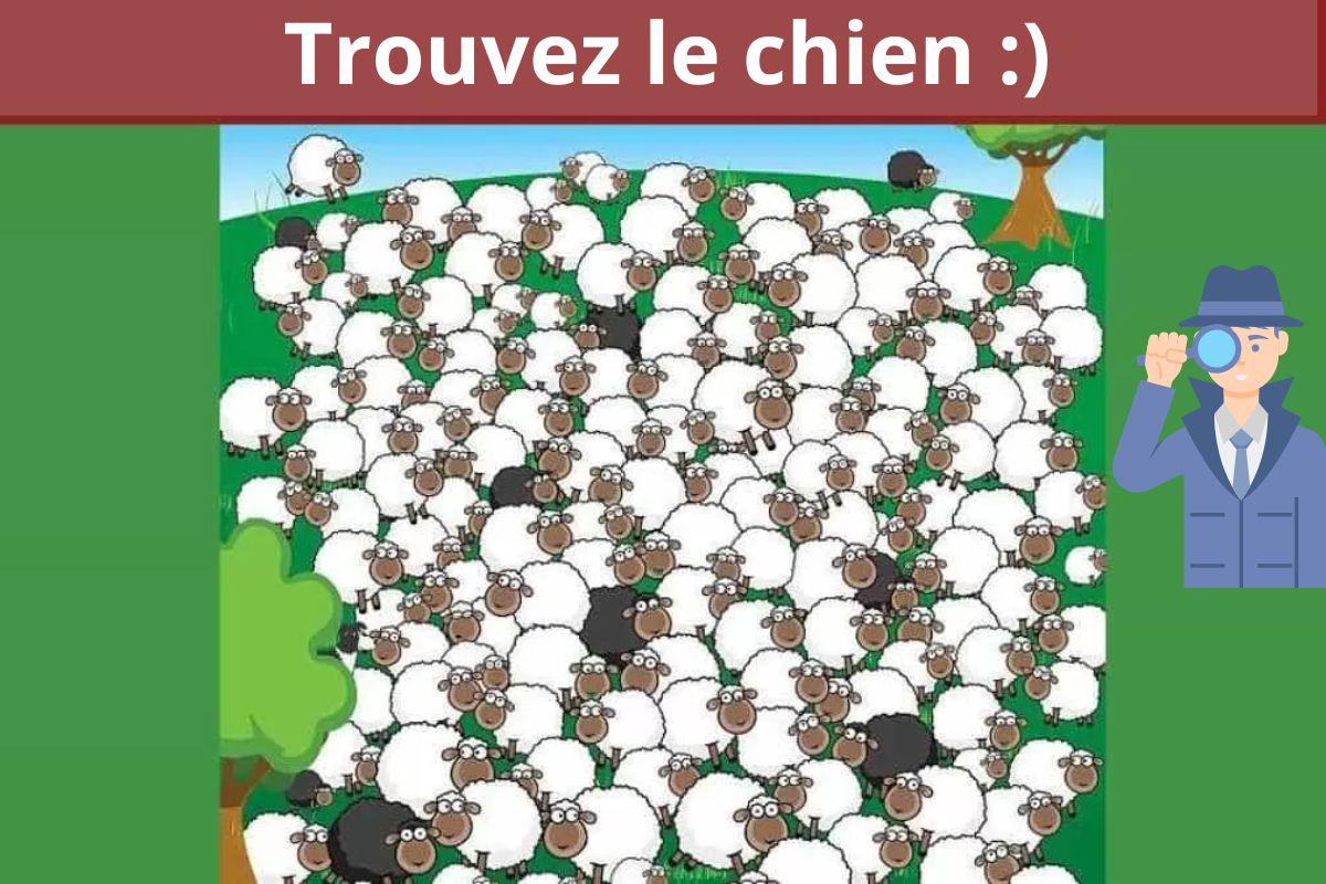 Casse-tête test de QI : trouvez le chien parmi le troupeau de moutons en 5 secondes !