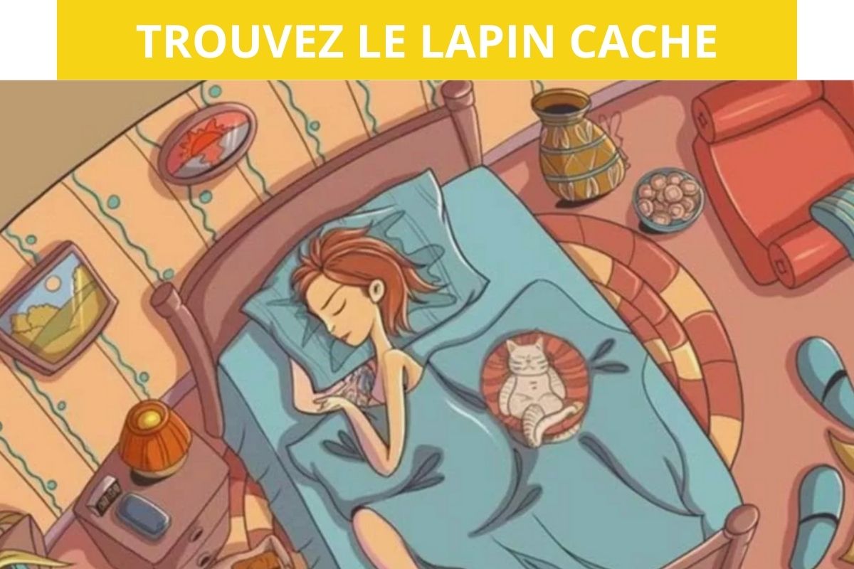 Devinette : Si vous trouvez le lapin caché en moins de 10 secondes vous avez un QI supérieur à 1OO