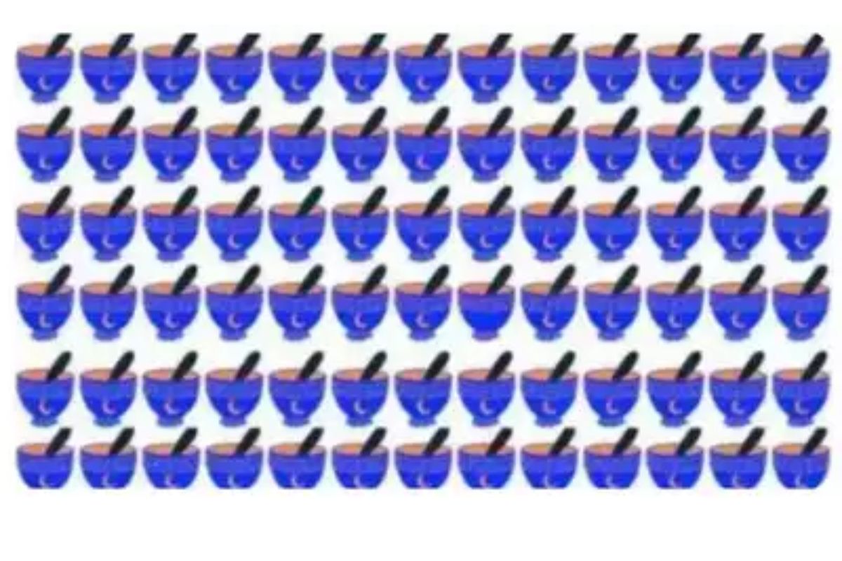 Illusion d'optique : pouvez-vous repérer le bol différent dans cette image ?