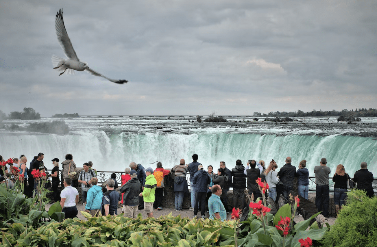 Les influenceurs et les offices de tourisme s'affolent sur les NFT