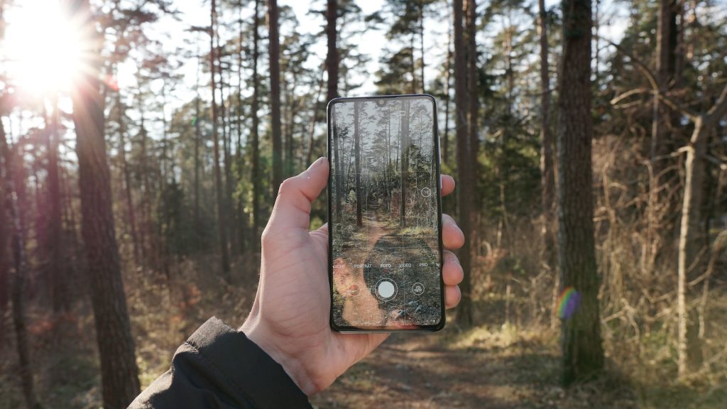 Perdu(e) en forêt ?