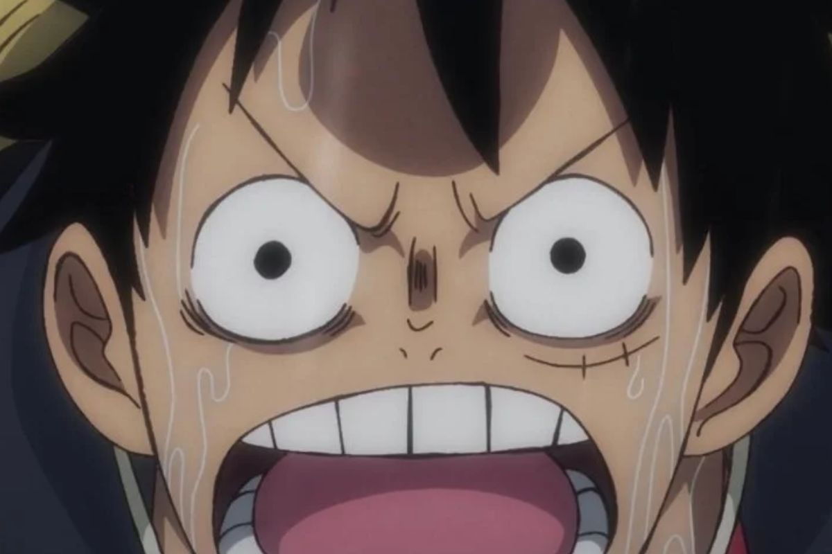 One Piece : La réaction de Luffy à l'éveil du Haki d'un Pirate au Chapeau de Paille était attendue et donnera un énorme coup de pouce à l'équipage 😮 .