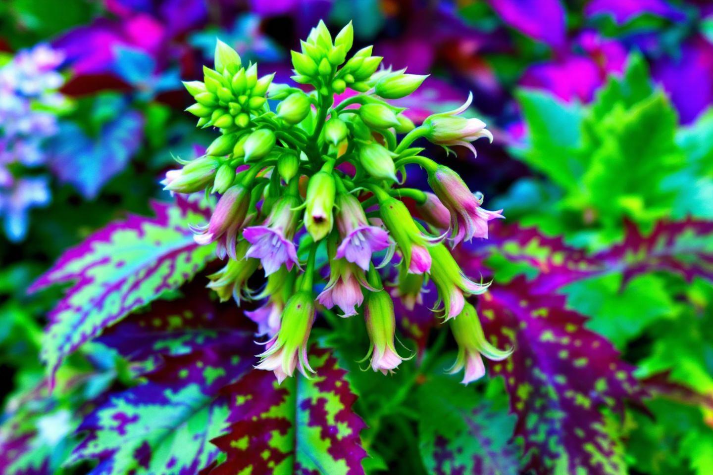 Penstemon montant vert Disney Dreamlight Valley : emplacement et guide pour le trouver