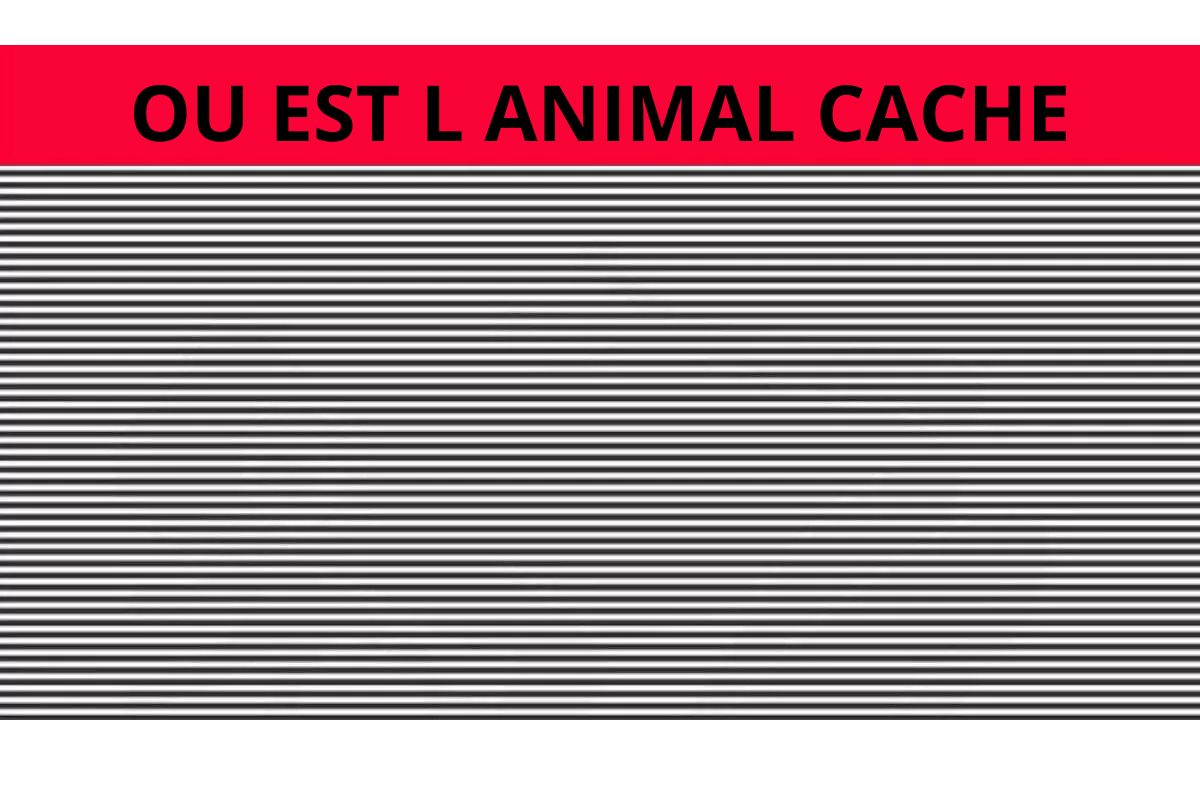 Test de QI d'illusion d'optique : Vous êtes un véritable génie si vous repérez l'animal caché.