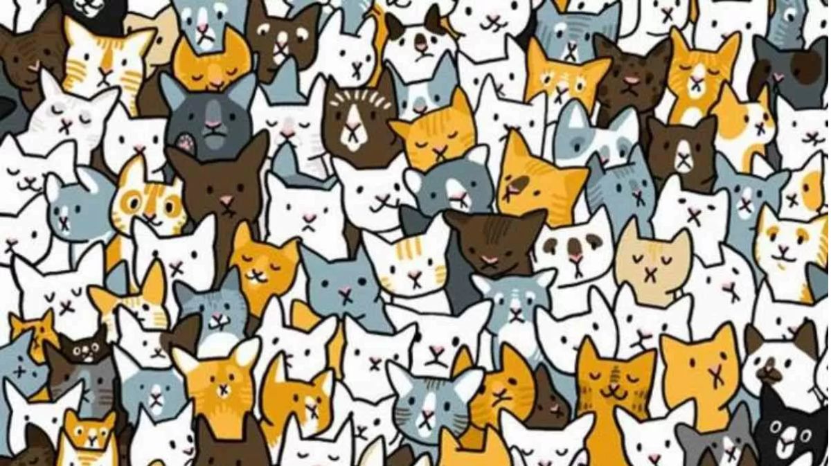 Test de qi d'illusion d'optique : seul 1% peut repérer le lapin caché parmi les chats en 5 secondes !