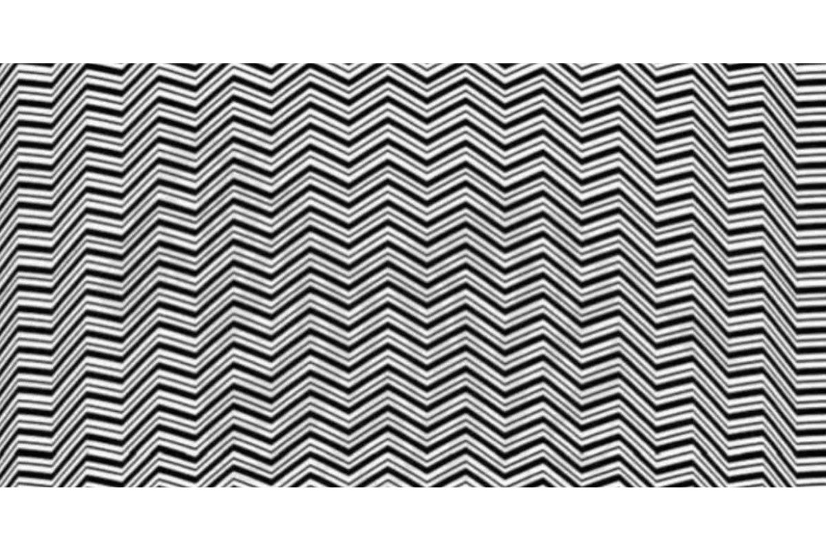 Test de QI d'illusion optique : Vous êtes dans le top 4% de la population si vous trouvez l'animal caché.