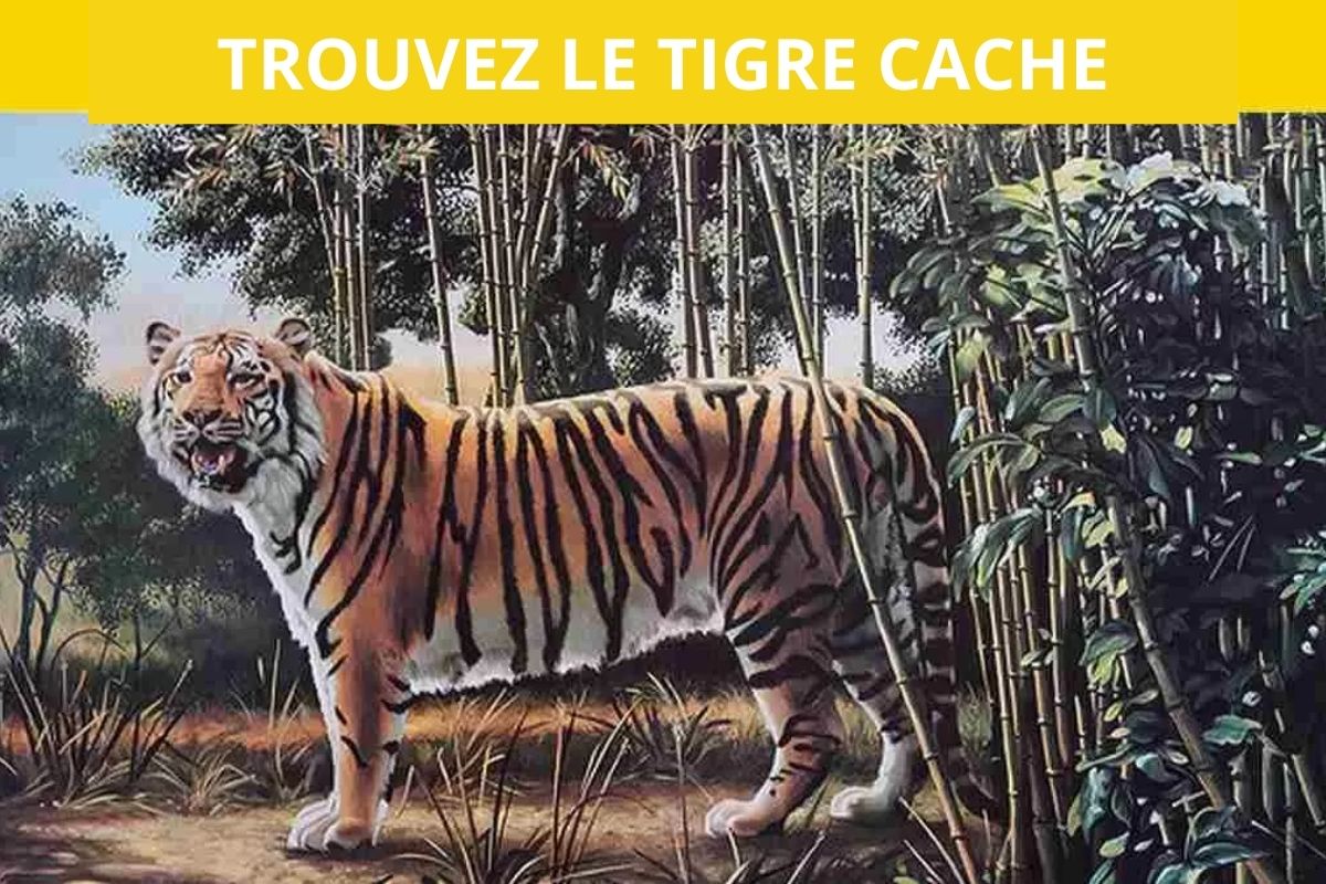 Test de QI par illusion d'optique : Vous avez des yeux d'aigles si vous trouvez le tigre caché en 5 secondes