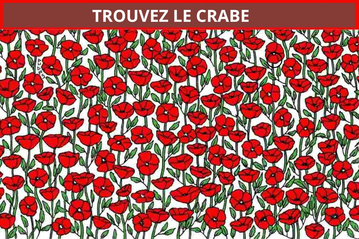 Test de QI avec puzzle d'image : Seulement 2% des génies trouveront le crabe en 10 secondes.
