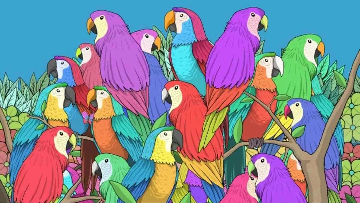 Test de QI avec puzzle d'image : seul 1 sur 50 peut repérer le papillon caché parmi les perroquets en 5 secondes !