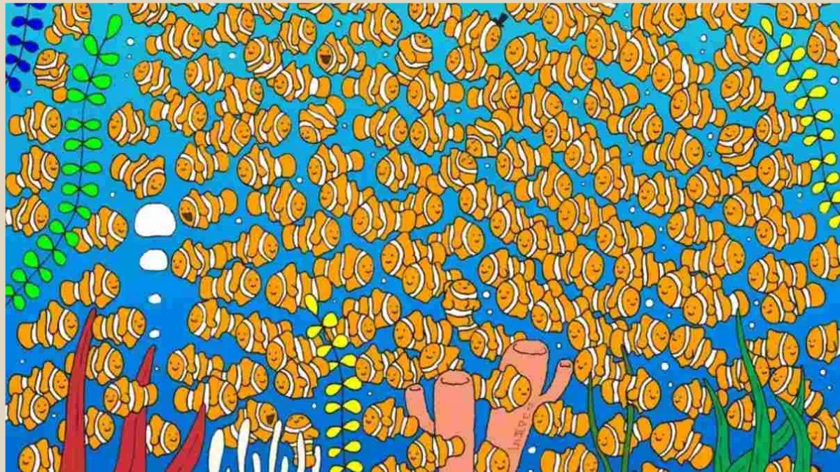 Test de QI par puzzle d'images : prouvez votre intelligence ! Pouvez-vous repérer le poisson différent en 5 secondes ?