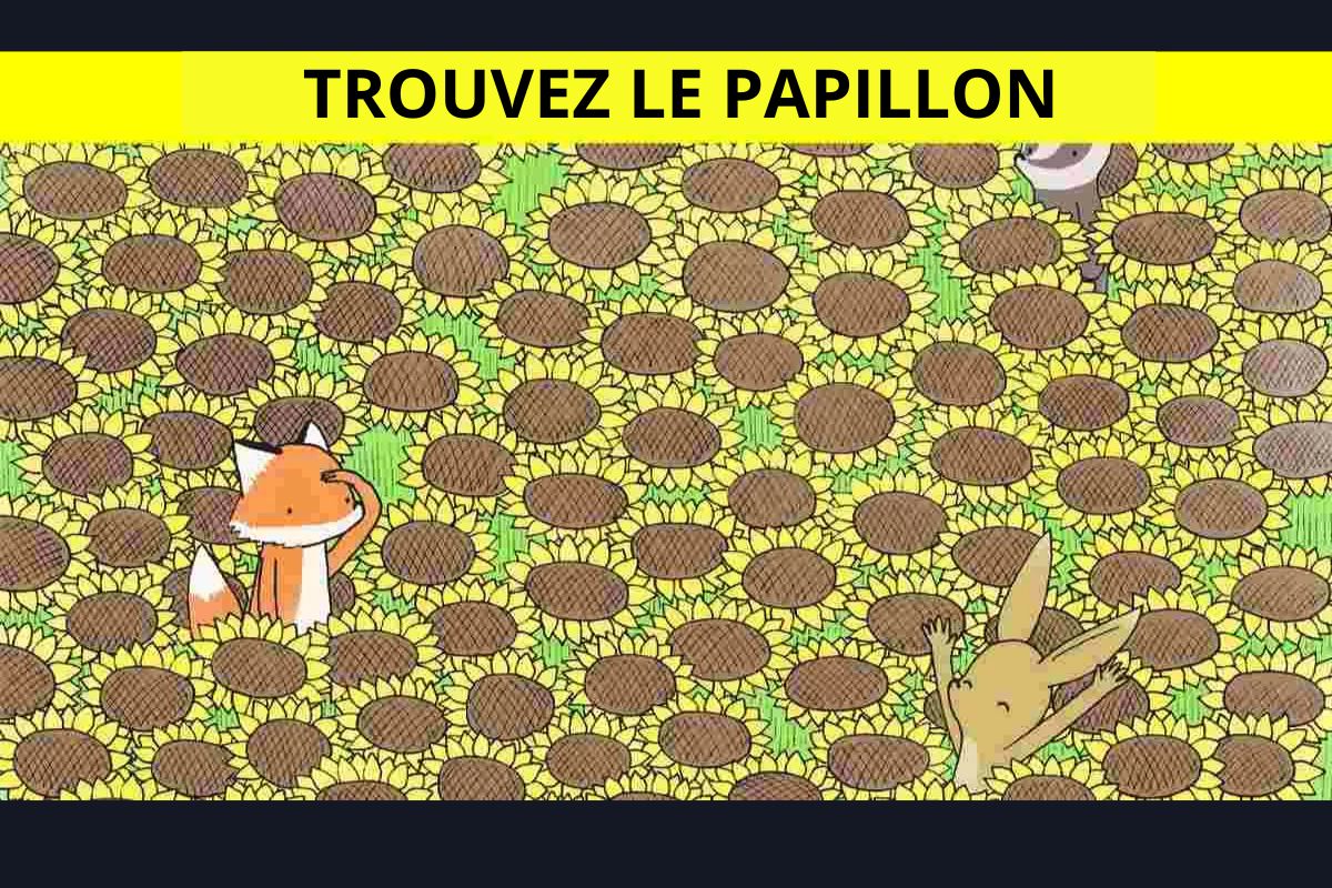 Test de QI avec puzzle d'images : seuls 2% des plus attentifs peuvent repérer le papillon en 5 secondes !