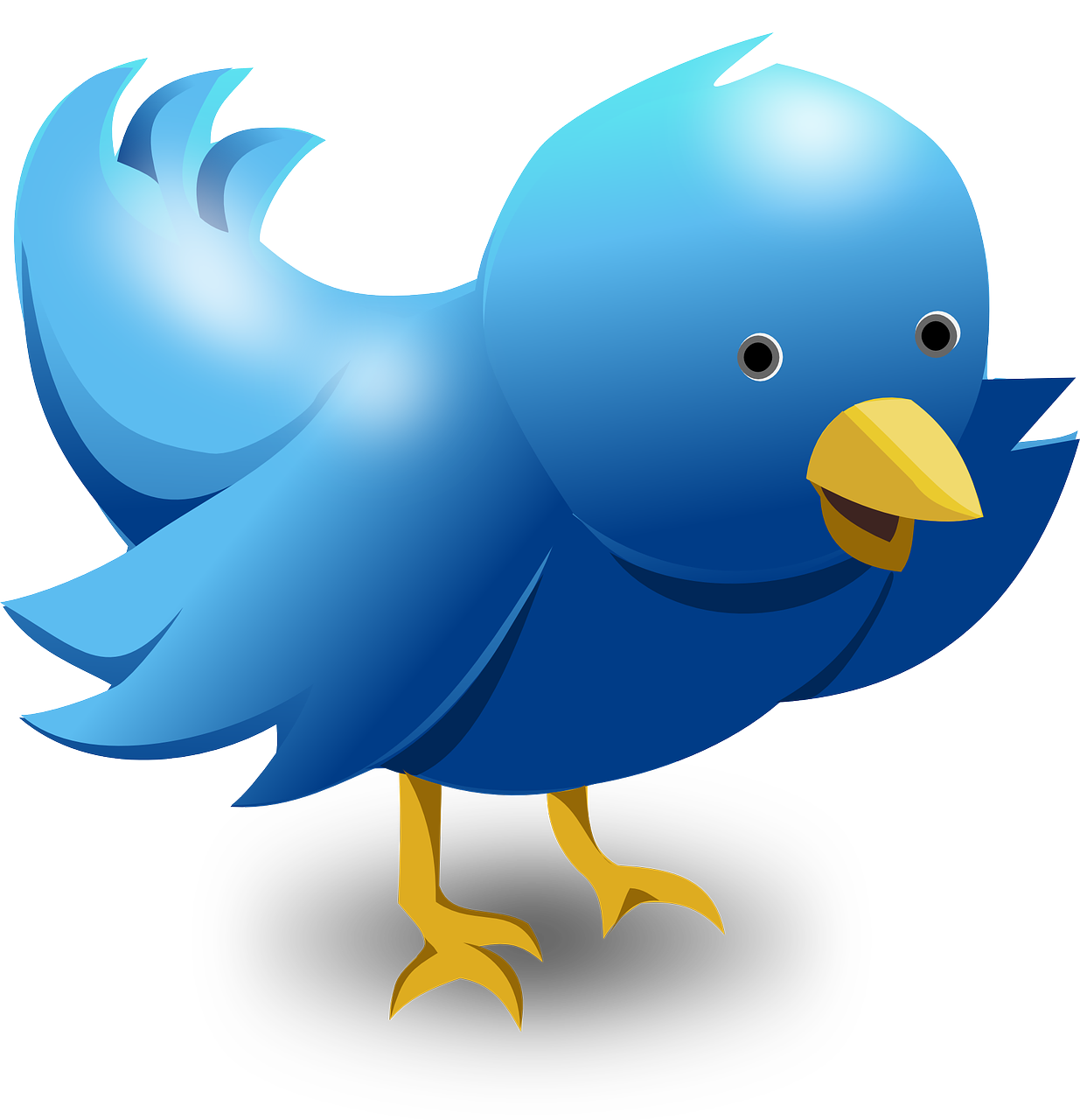 Twitter va permettre aux utilisateurs web de supprimer les followers indésirables