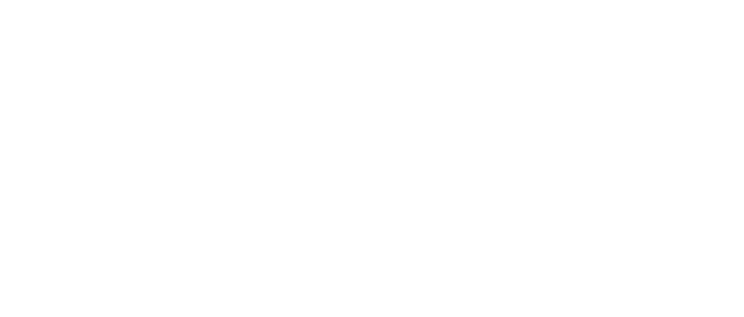 Project Diva